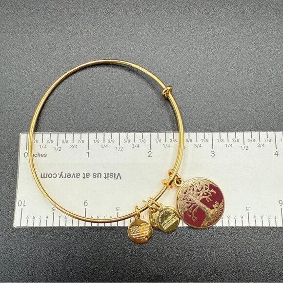 Alex and Ani Tree of Life 2015 Charm Bangle Bracelet - Picture 5 of 9